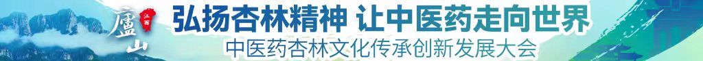 外国老妇网站导航中医药杏林文化传承创新发展大会